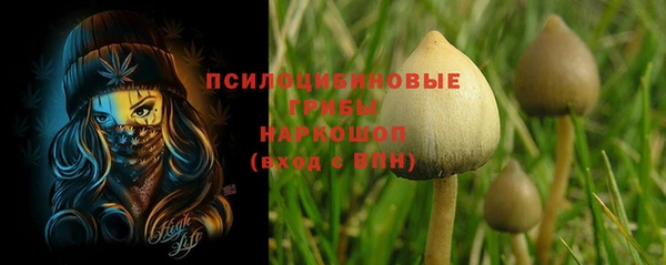 соль курить ск Алексин