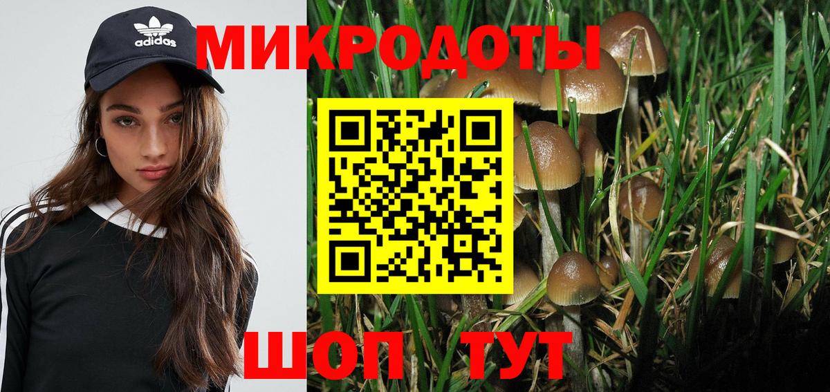 Псилоцибиновые грибы прущие грибы Анжеро-Судженск