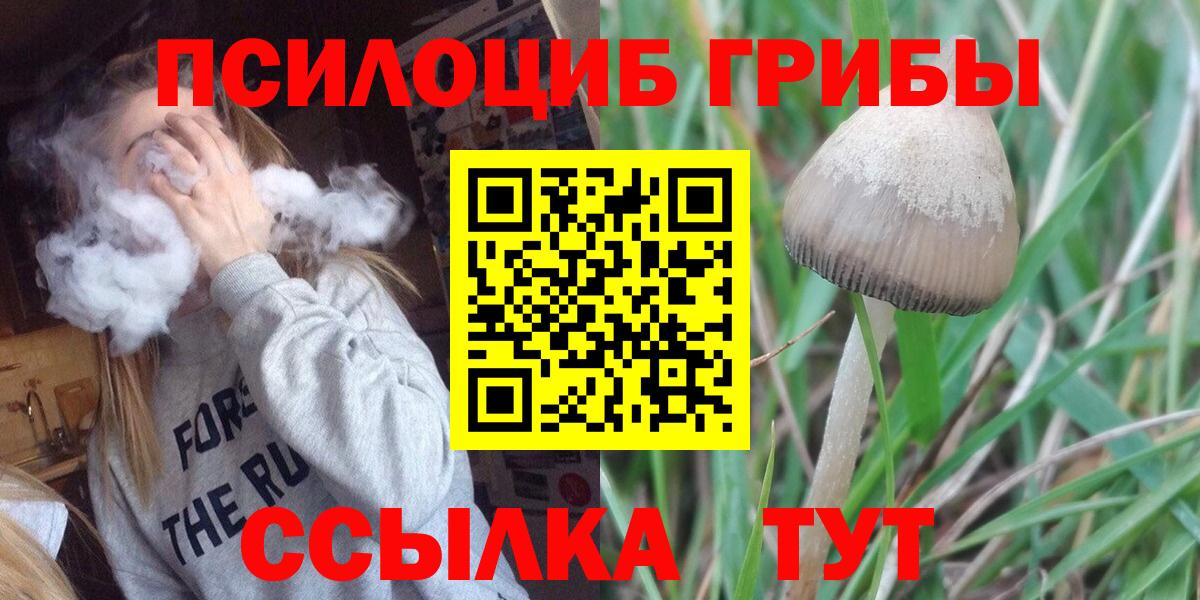 Галлюциногенные грибы Magic Shrooms  Псилоцибиновые грибы Magic Shrooms  Вход с VPN  Анжеро-Судженск 